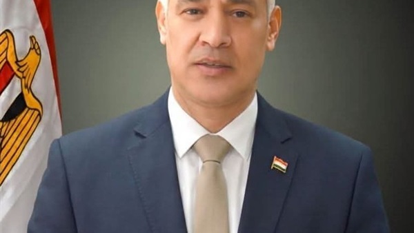 الأستاذ الدكتور أحمد