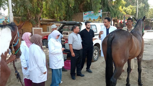 قافلة علاجية مجانية