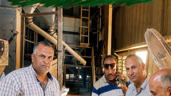تجهيز وتعبئة تقاوي