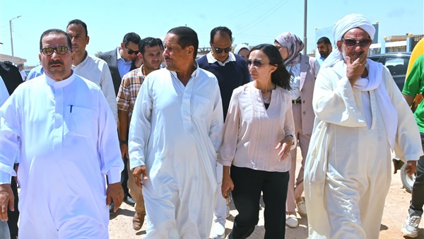 محافظ البحيرة