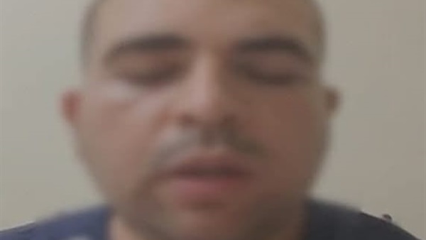 شقيق النزيل