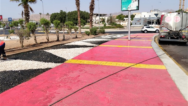 صدى العرب