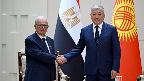 نائب رئيس الوزراء