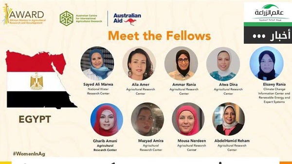 المجلس القومي للمرأة