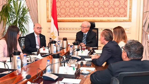 نائب رئيس الوزراء
