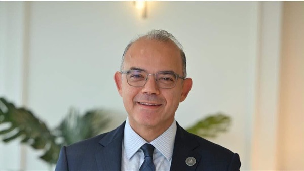 وزير الاستثمار