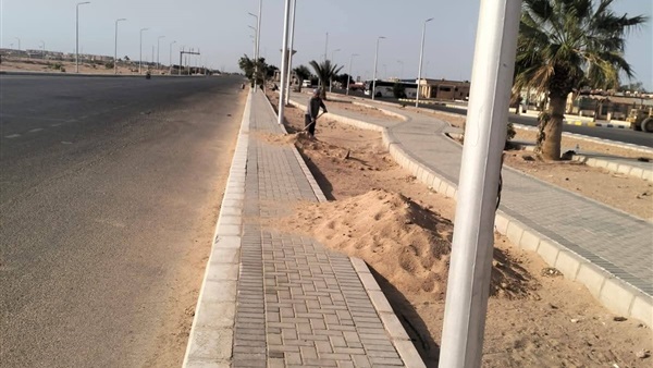 صدى العرب