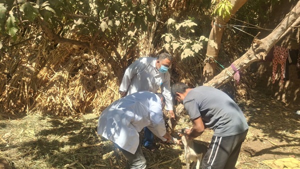 الزراعة