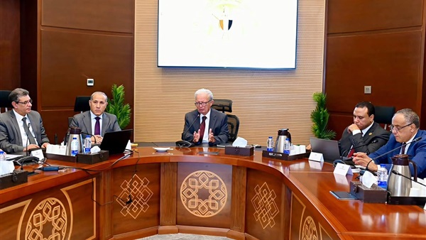 نائب رئيس مجلس الوزراء