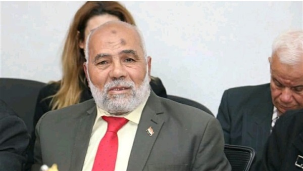 محمود فرغل رئيس حزب