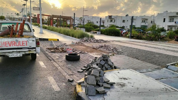 صدى العرب