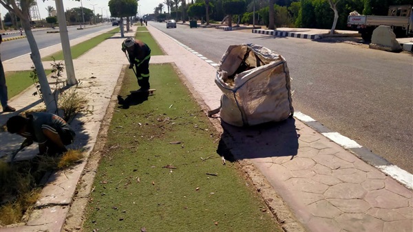 صدى العرب