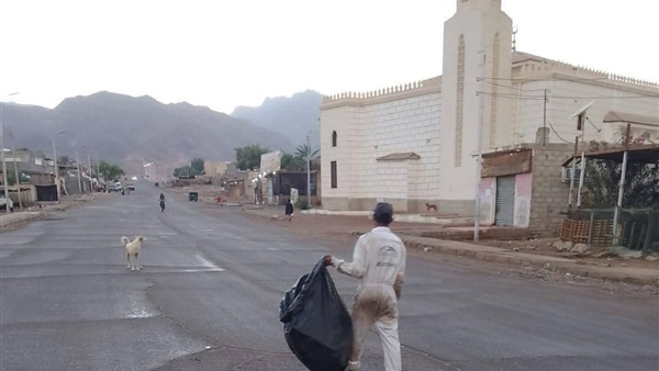 صدى العرب