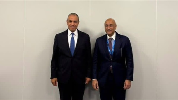 وزير الخارجية