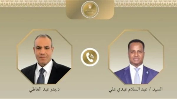 وزيرا خارجية مصر