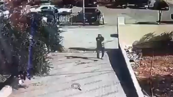صدى العرب