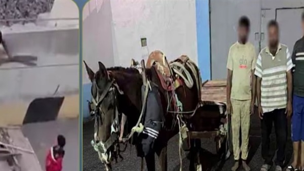 المتهمين