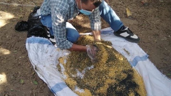 مديرية الزراعة بالشرقية