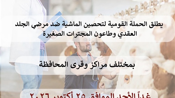انطلاق الحملة القومية