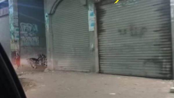 محال تجارية