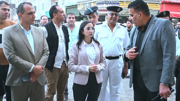 محافظ البحيرة 