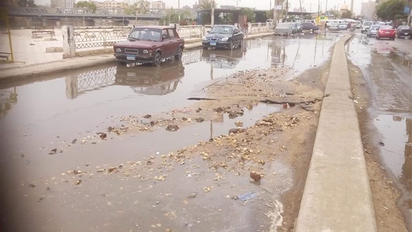 صدى العرب