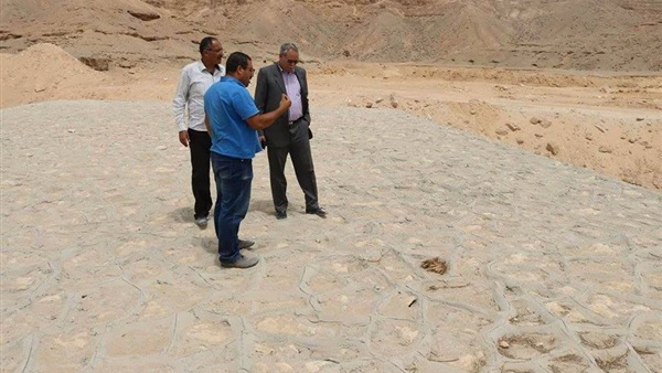 صدى العرب