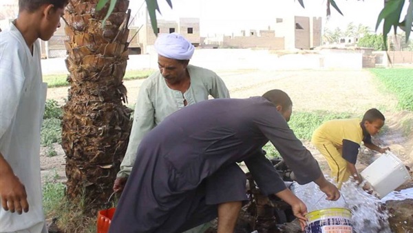 صدى العرب