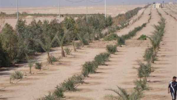 صدى العرب