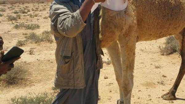صدى العرب
