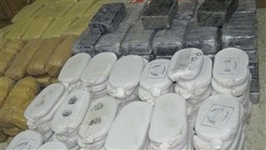 ضبط تشكلين عصابين