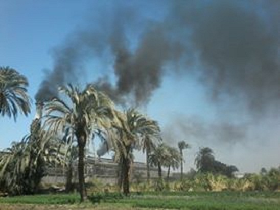 بالصور.. التلوث يحاصر أهالي نجع " موسي علام " بنجع حمادي والبيئة في خبر كان