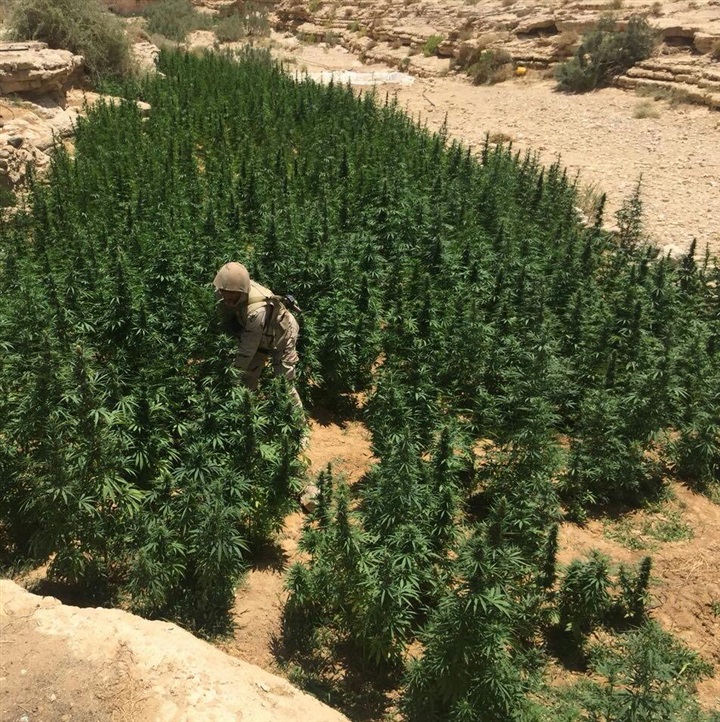 القوات المسلحة تصدر البيان الـ22 عن العملية سيناء 2018