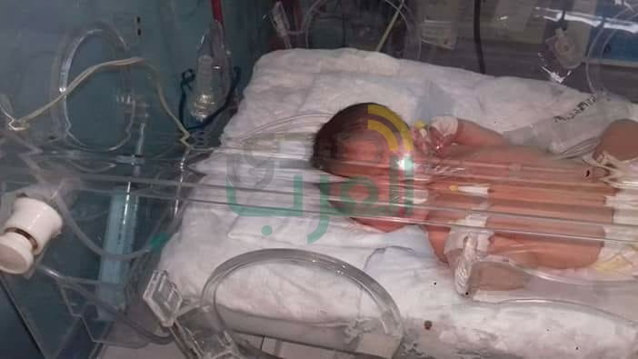 غلق مركز حضانات شهير بـ"بنها" بعد ظهور حشرات داخله 