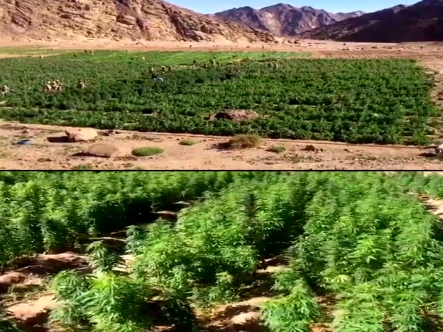 القوات المسلحة: القضاء على 46 تكفيريا شديدى الخطورة وسط وشمال سيناء