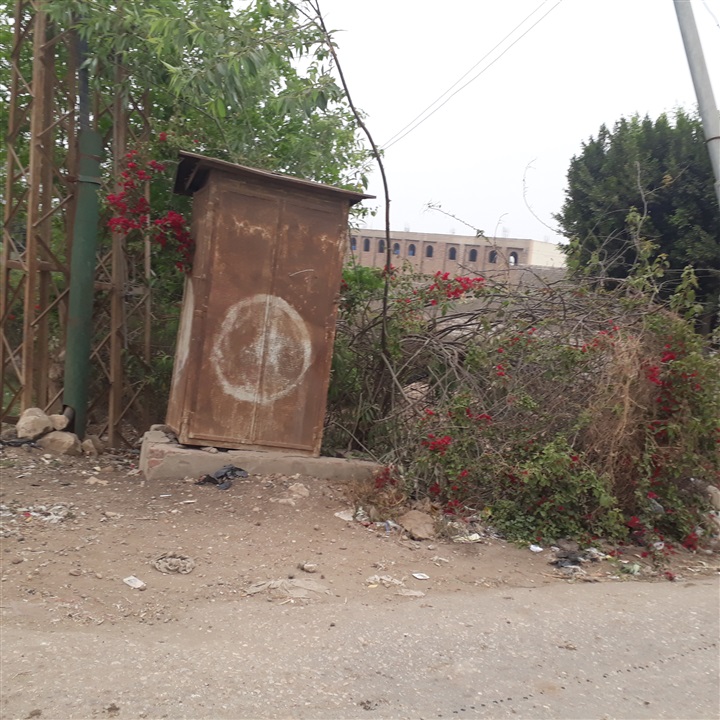 بالصور.. كارثة تهدد بإنفجار كابينة الكهرباء الرئيسية بقرية ميت عاصم 