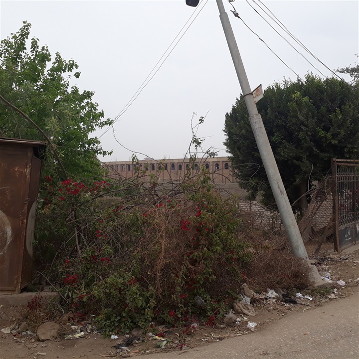 بالصور.. كارثة تهدد بإنفجار كابينة الكهرباء الرئيسية بقرية ميت عاصم 