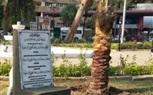 أمير القصيم يغرس نخلة السلام بميدان الفاروق في المعادى