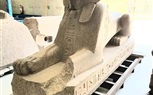 وزارة الآثار: قطع أثرية ضخمة تصل الي المتحف المصري الكبير