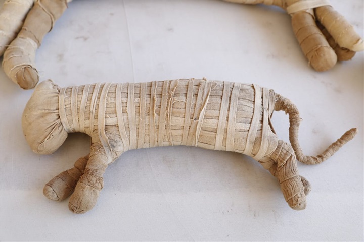 وزير الآثار يعلن عن كشف آثري جديد بمنطقة سقارة الآثرية