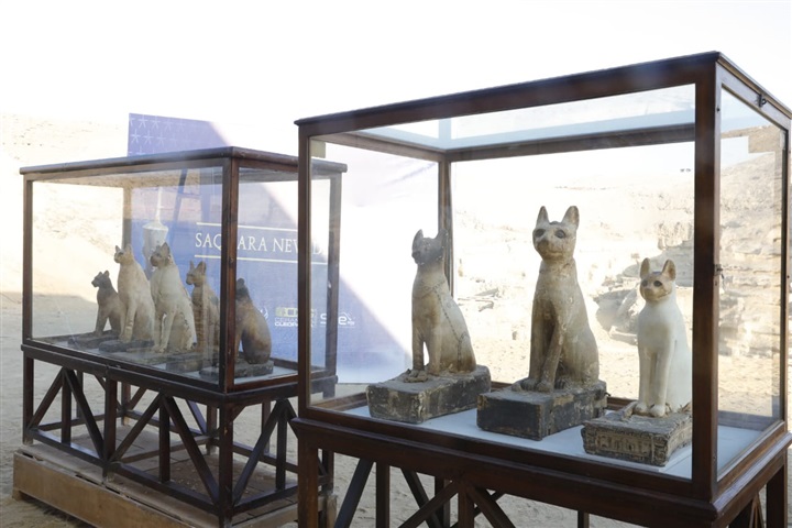 وزير الآثار يعلن عن كشف آثري جديد بمنطقة سقارة الآثرية