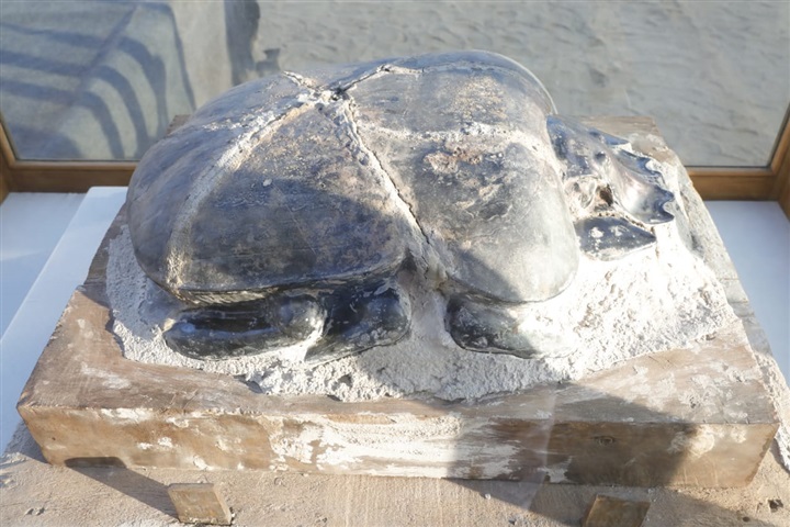 وزير الآثار يعلن عن كشف آثري جديد بمنطقة سقارة الآثرية