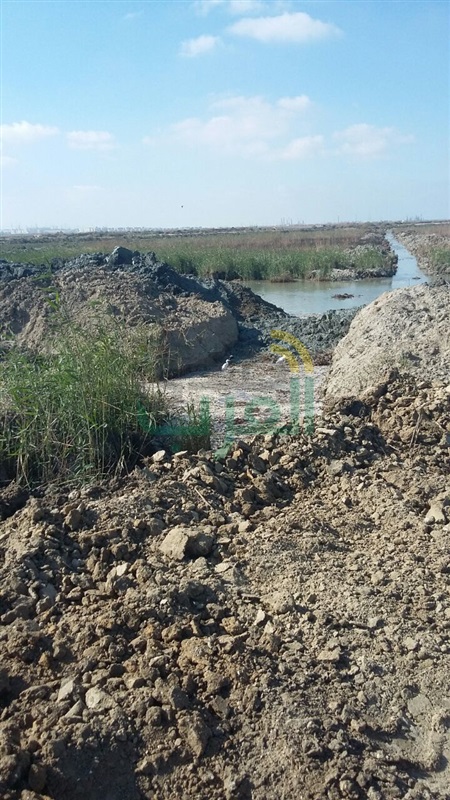 إزالة التعديات على بحيرة مريوط بناءً علي توجيهات من محافظ الاسكندرية 