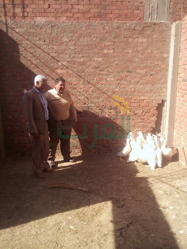 بالصور.. تطهير منازل الأسر المشتبه بإصابهتم بأنفلونزا الطيور بقليوب