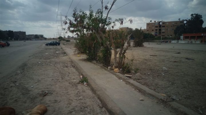 محافظة القاهرة تتخذ هذه الإجراءات حفاظ على سلامة المواطنين والصحة العامة