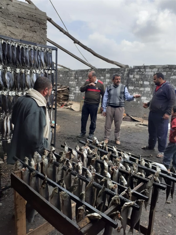 ضبط 13 طن رنجة مجهولة المصدر داخل مصنع «بير سلم» في كفر الشيخ ضبط 13 طن رنجة مجهولة المصدر داخل مصنع «بير سلم» في كفر الشيخ