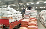 شون البنك الزراعي المصري تستقبل 277 ألف طن خلال الشهر الأول لموسم توريد القمح المحلي 