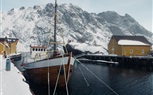المجلس النرويجي للمأكولات البحرية يستعرض أفضل الممارسات للحفاظ على التنوع البيولوجي للأحياء المائية احتفاءً باليوم العالمي للمحيطات