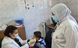 الكشف على 1261 مواطن خلال قافلة طبية مجانية بقرية المعديه بإدكو