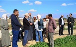 زيارة وفد برنامج إدارة مياة دلتا النيل لمتابعة الأنشطة بمحافظة البحيرة